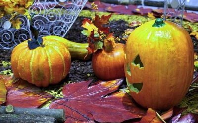 Halloween: Candy, costumes, and more!
