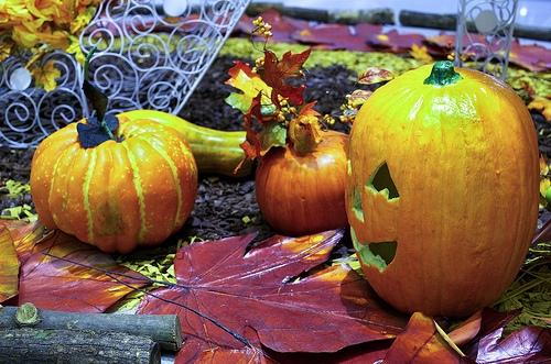 Halloween Candy, costumes, and more!