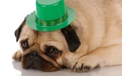 St. Patrick’s Day